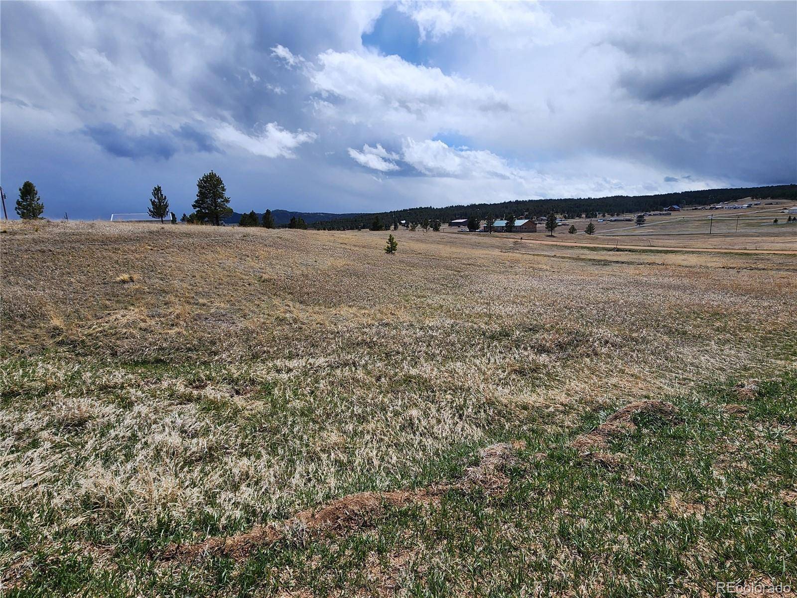 Florissant, CO 80816,714 Empire RD
