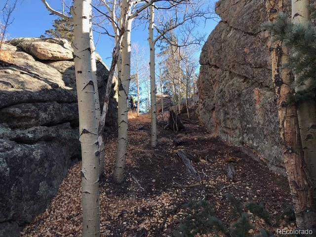 Como, CO 80432,4019 Buffalo Ridge RD