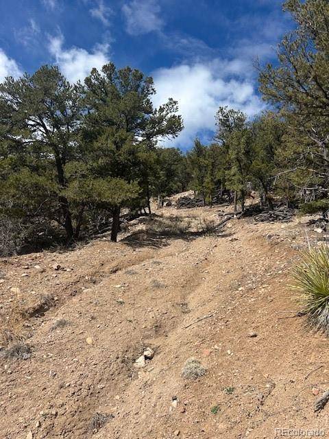 Cotopaxi, CO 81223,143 Ive PL