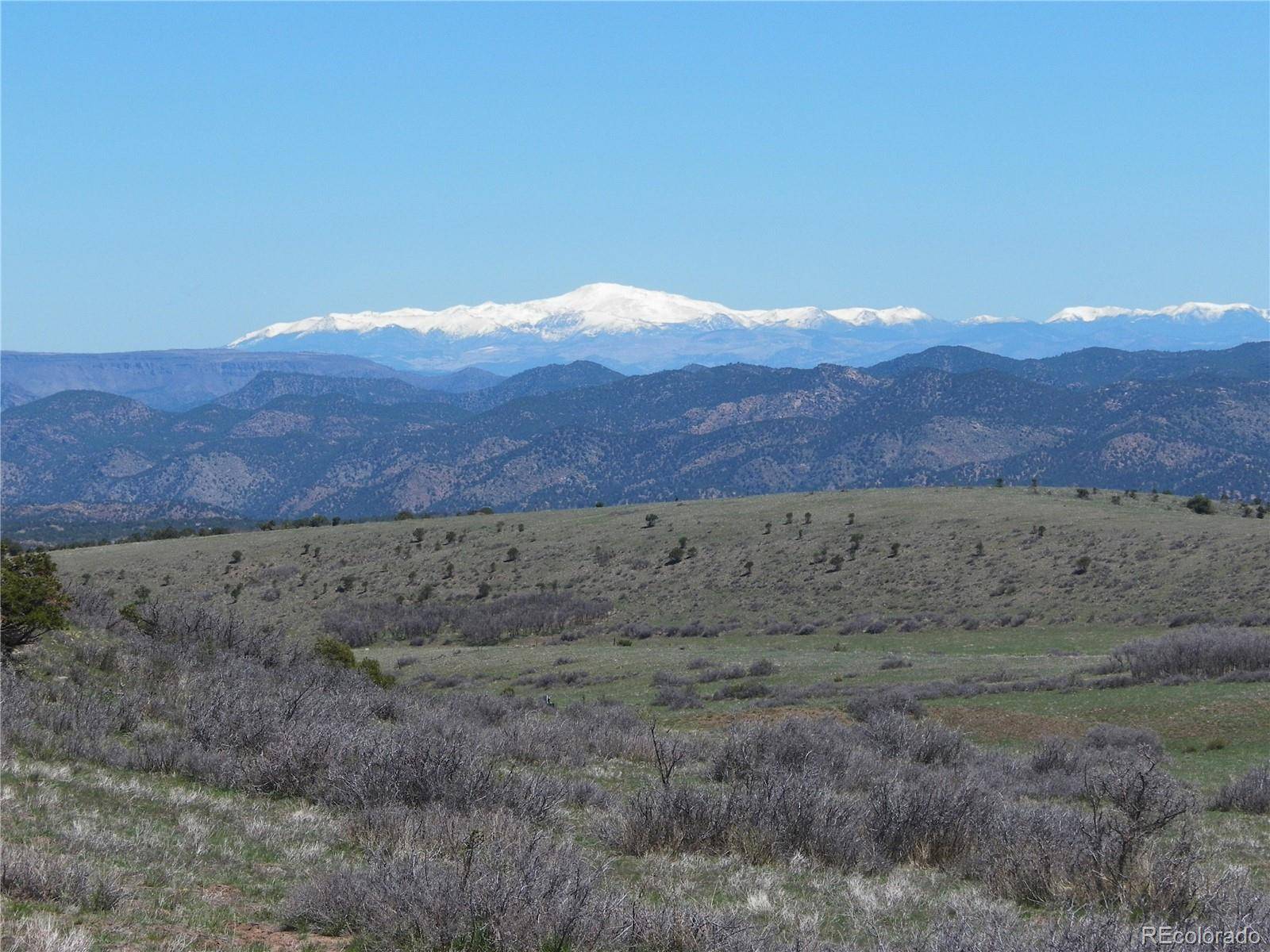 Cotopaxi, CO 81223,1768 Running Bear