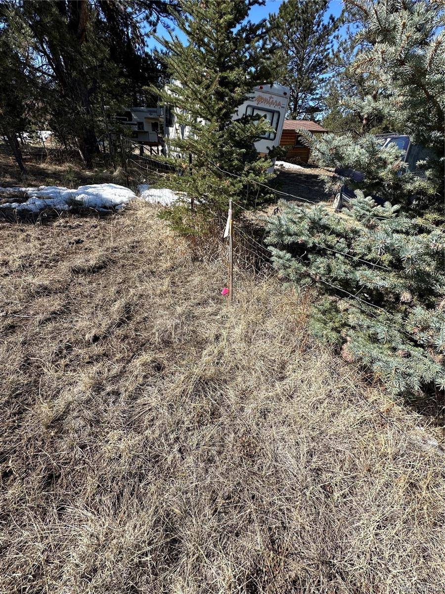 Florissant, CO 80816,189 Rhyolite LN