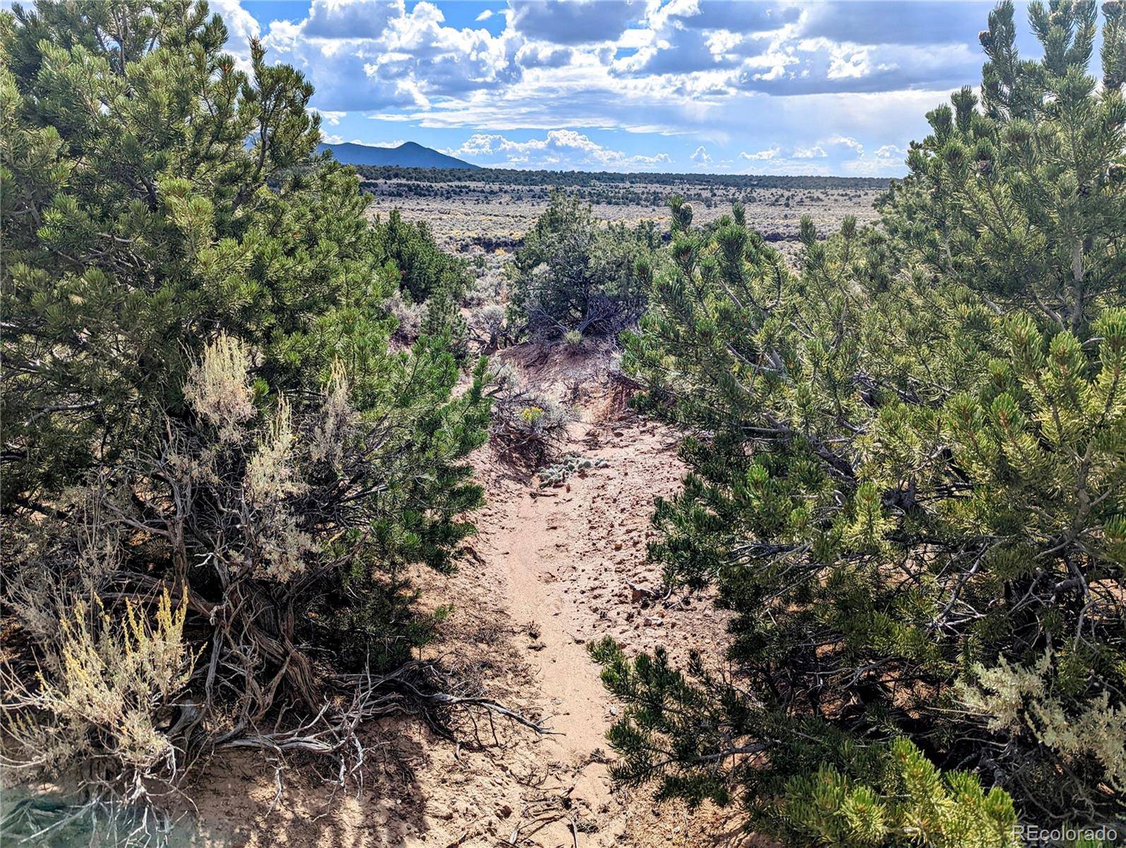 Fort Garland, CO 81133,Lot 1762 Slegers RD