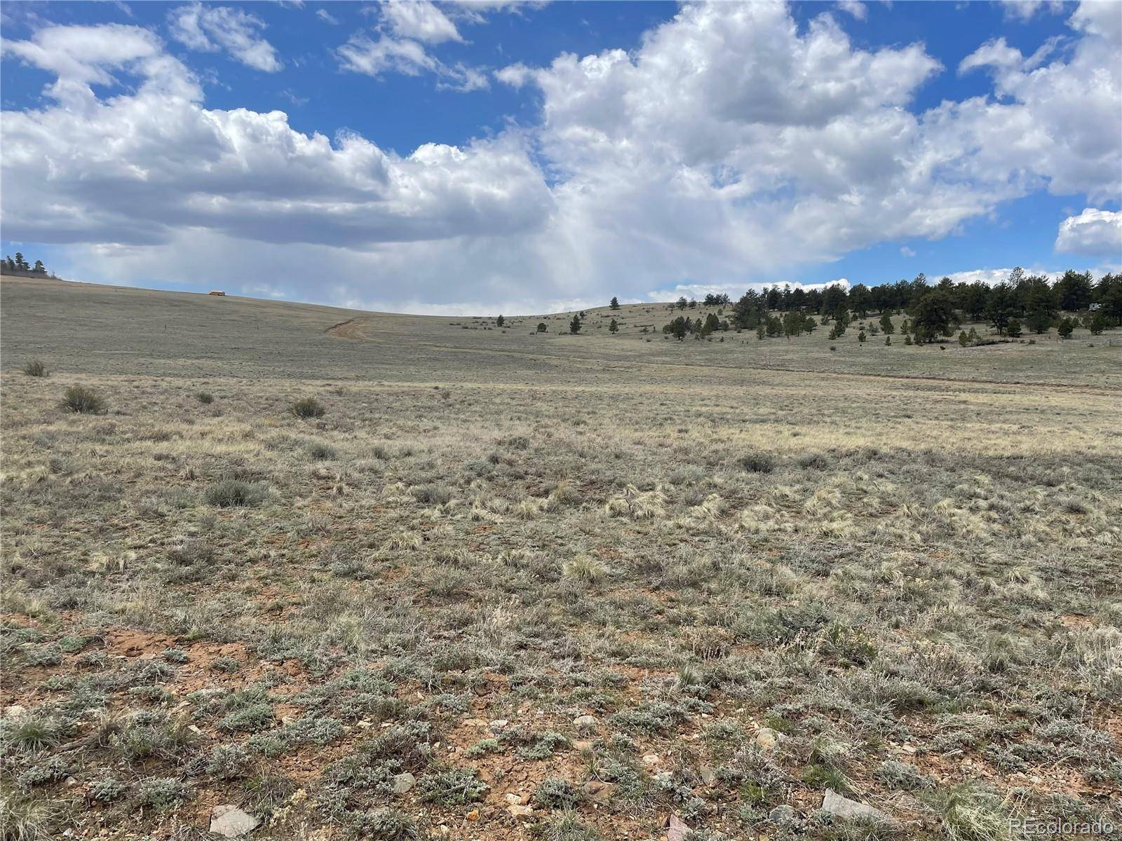 Hartsel, CO 80449,00000 Chickasaw RD