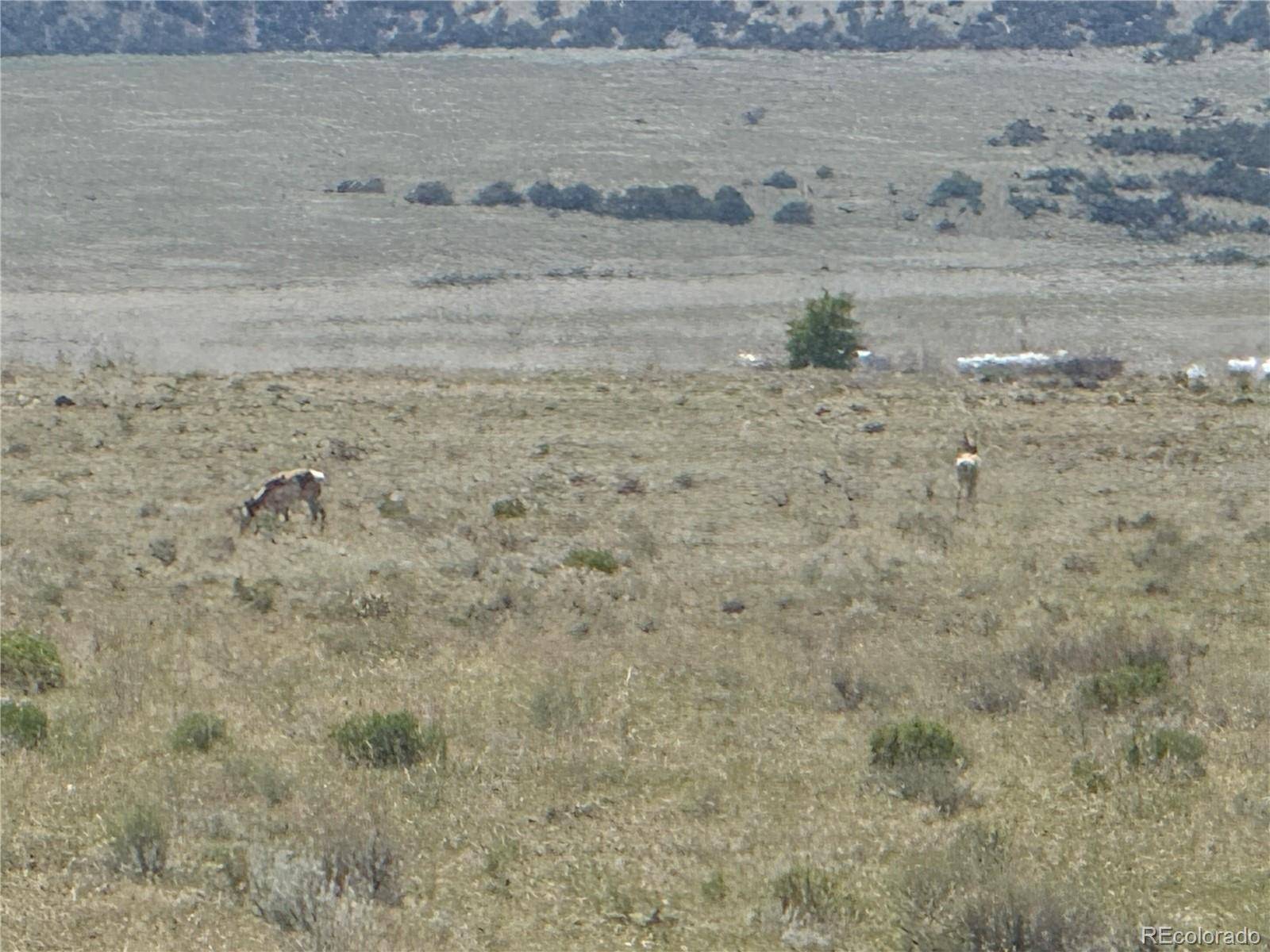 La Jara, CO 81140,00 Vacant Land