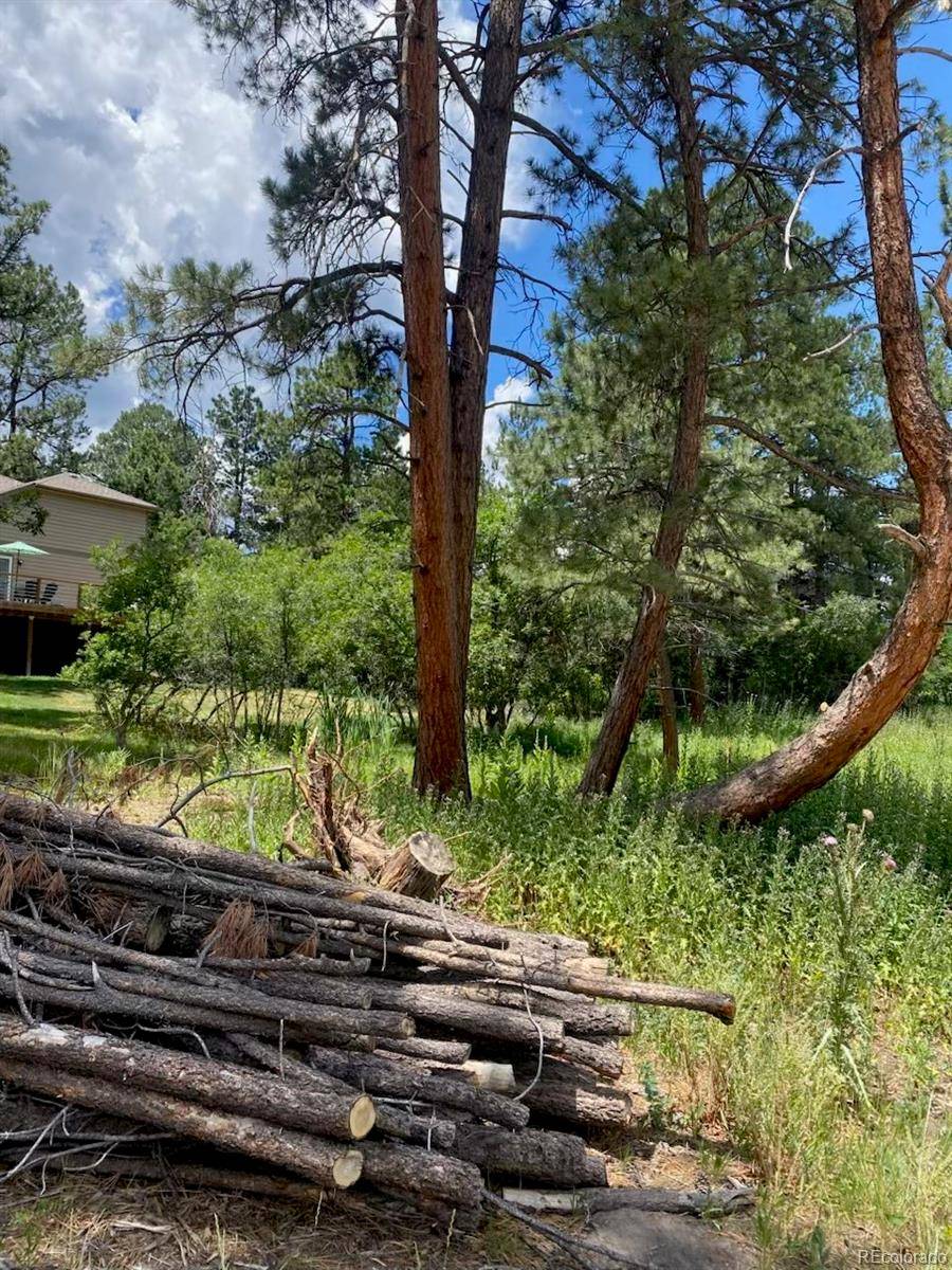 Larkspur, CO 80118,1025 Tenderfoot DR