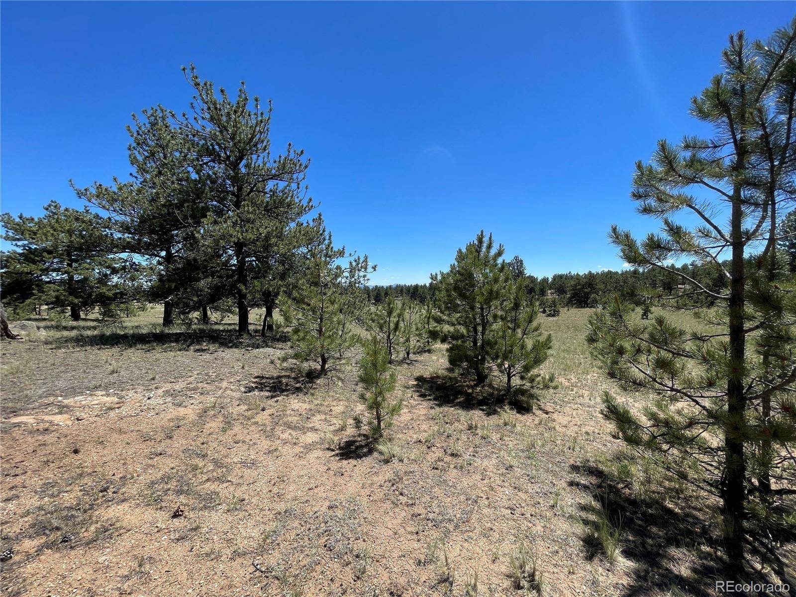 Hartsel, CO 80449,359 JASPER WAY