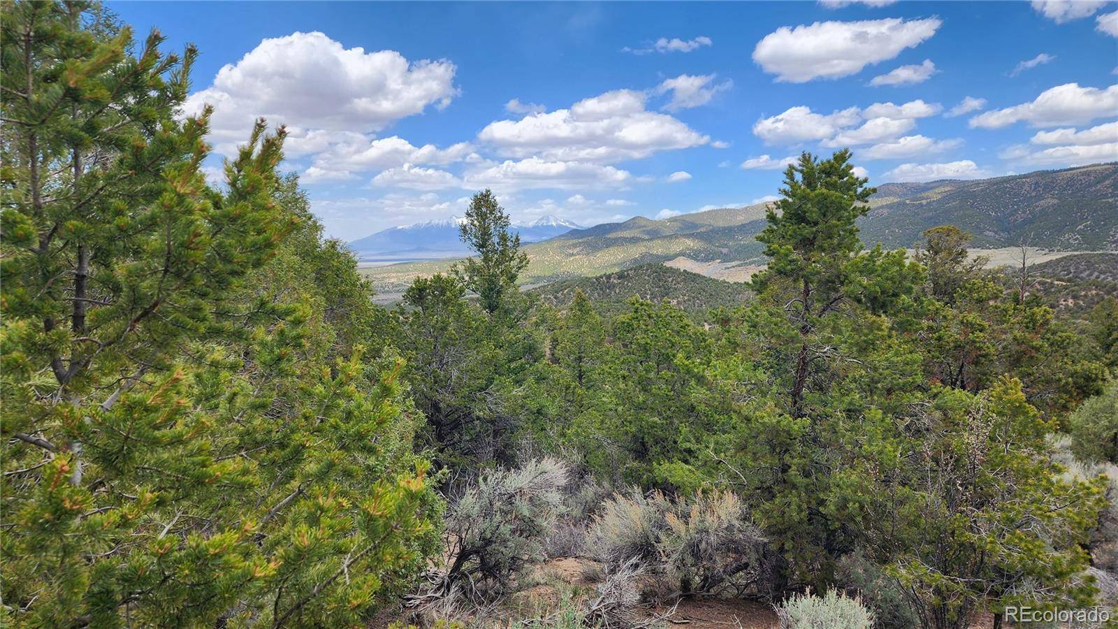 San Luis, CO 81152,5991 Doug RD