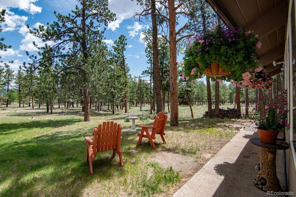 Buena Vista, CO 81211,16240 Mt. Princeton RD