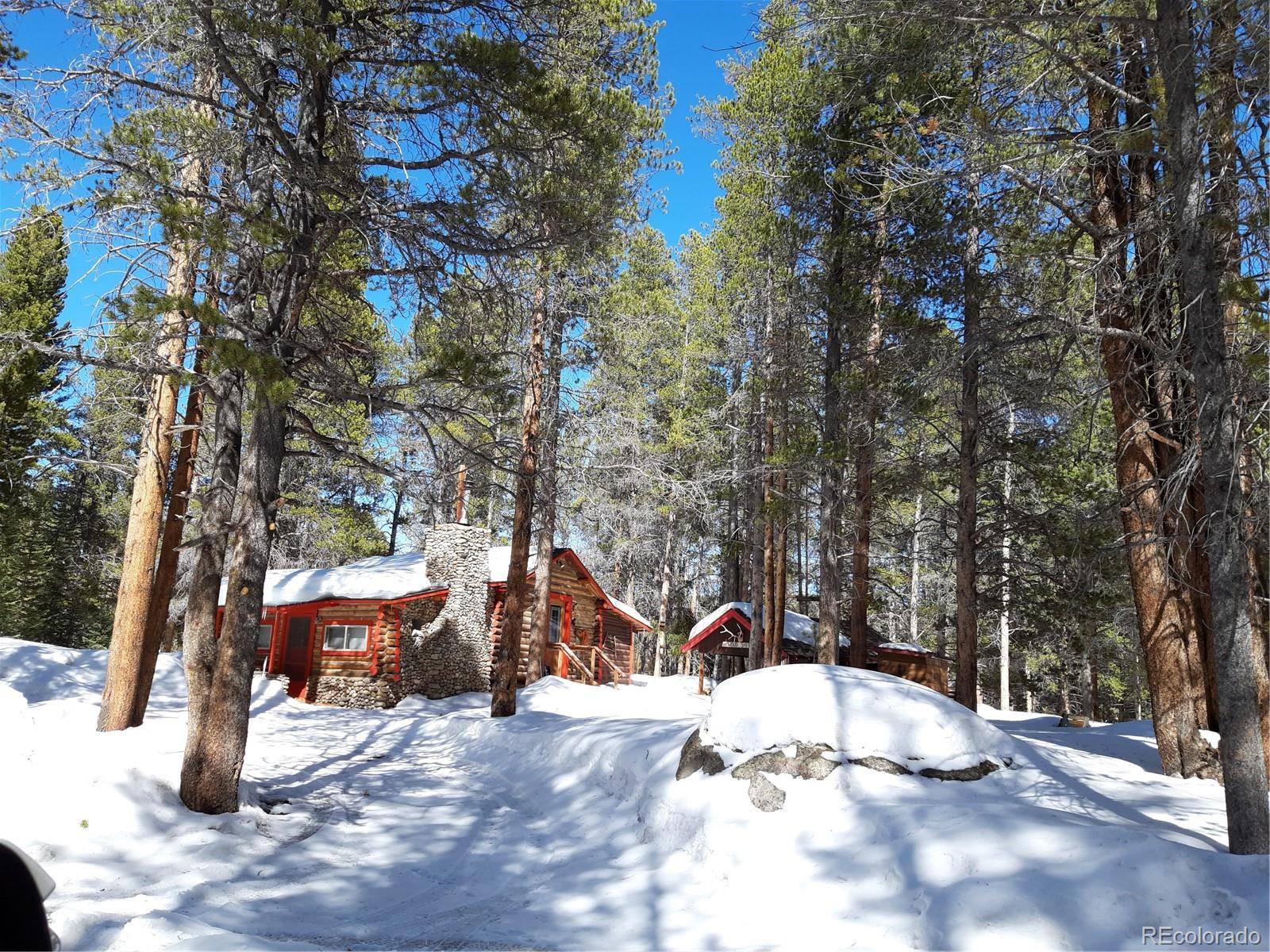 Leadville, CO 80461,649 County Rd #21 #3