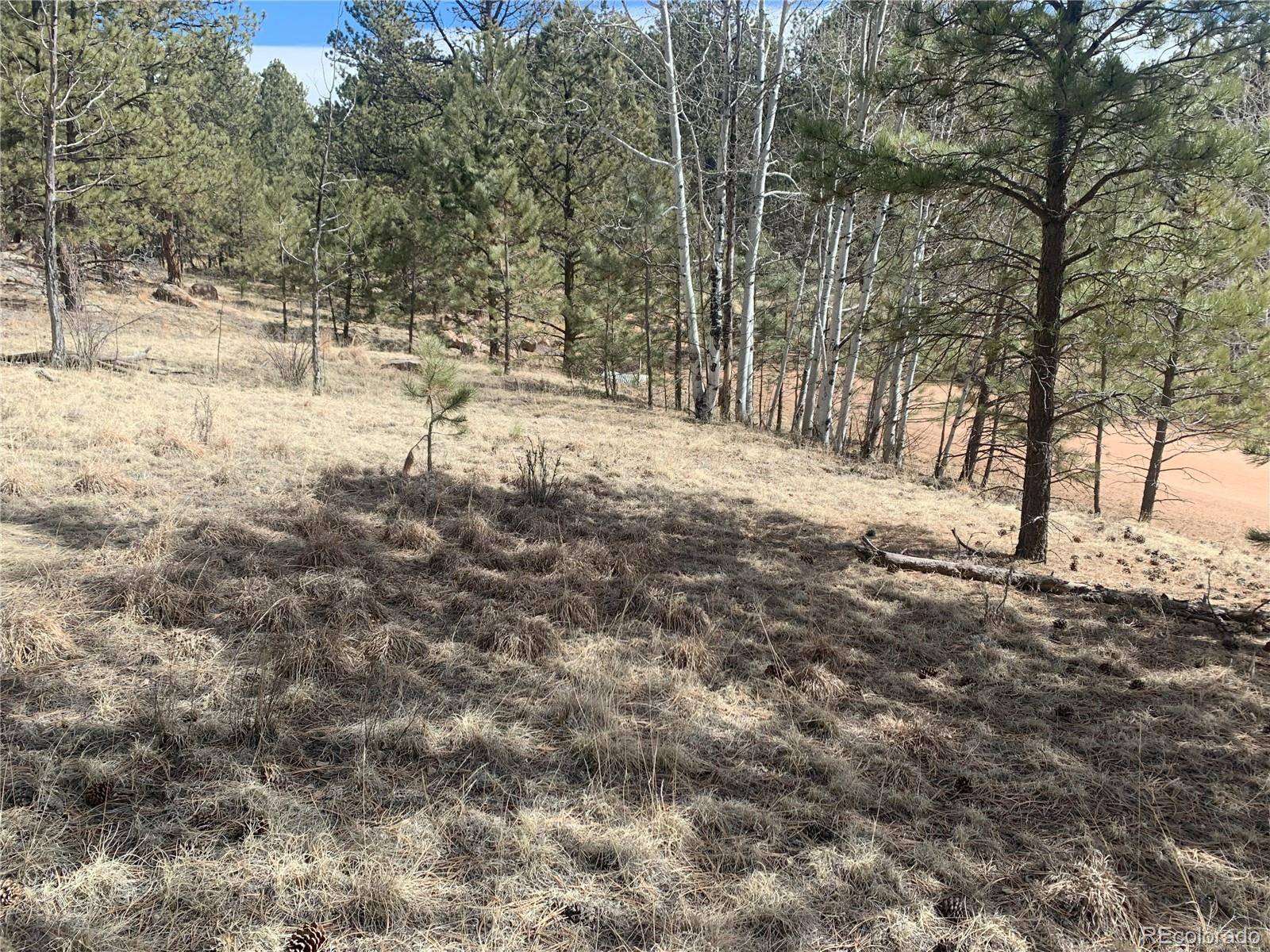 Florissant, CO 80816,173 Crescent DR