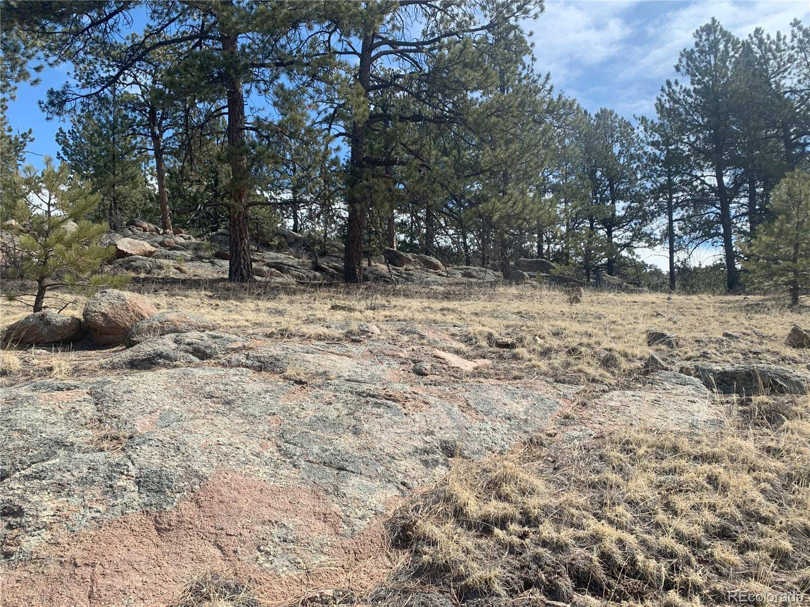 Florissant, CO 80816,173 Crescent DR