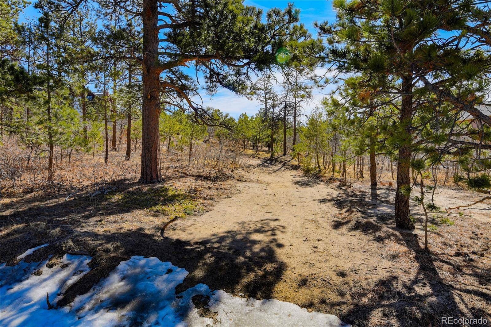 Monument, CO 80132,19403 Wildwood WAY