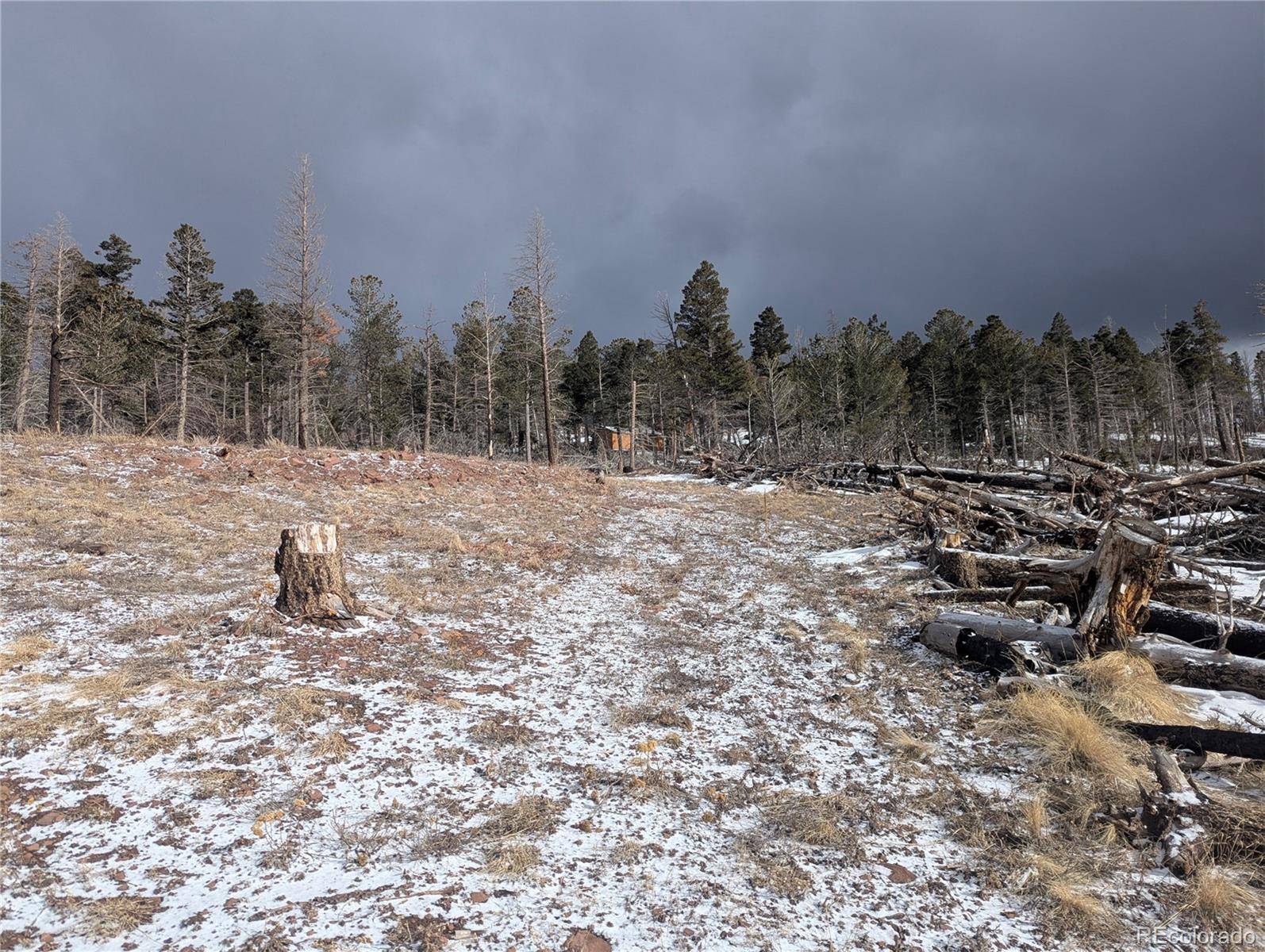 Fort Garland, CO 81133,2283 Wohlstetter LOOP