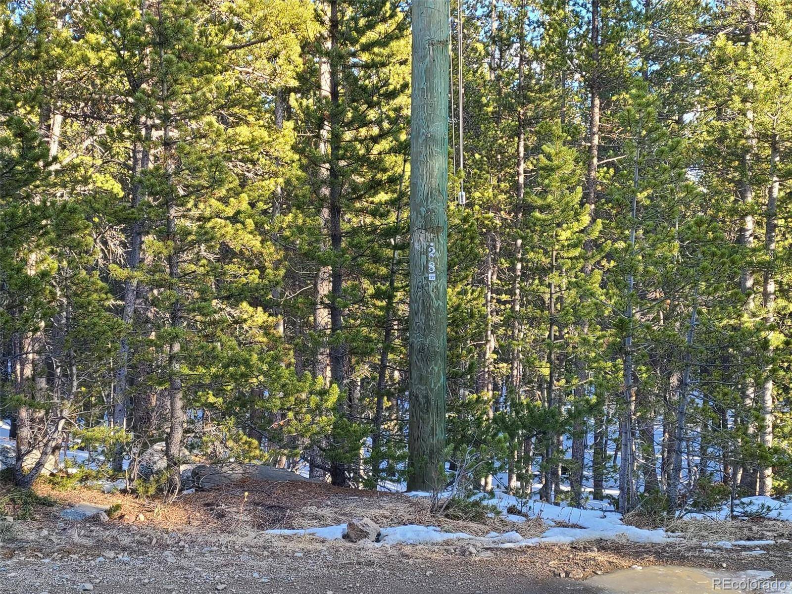 Idaho Springs, CO 80452,Silver Creek Lot 928