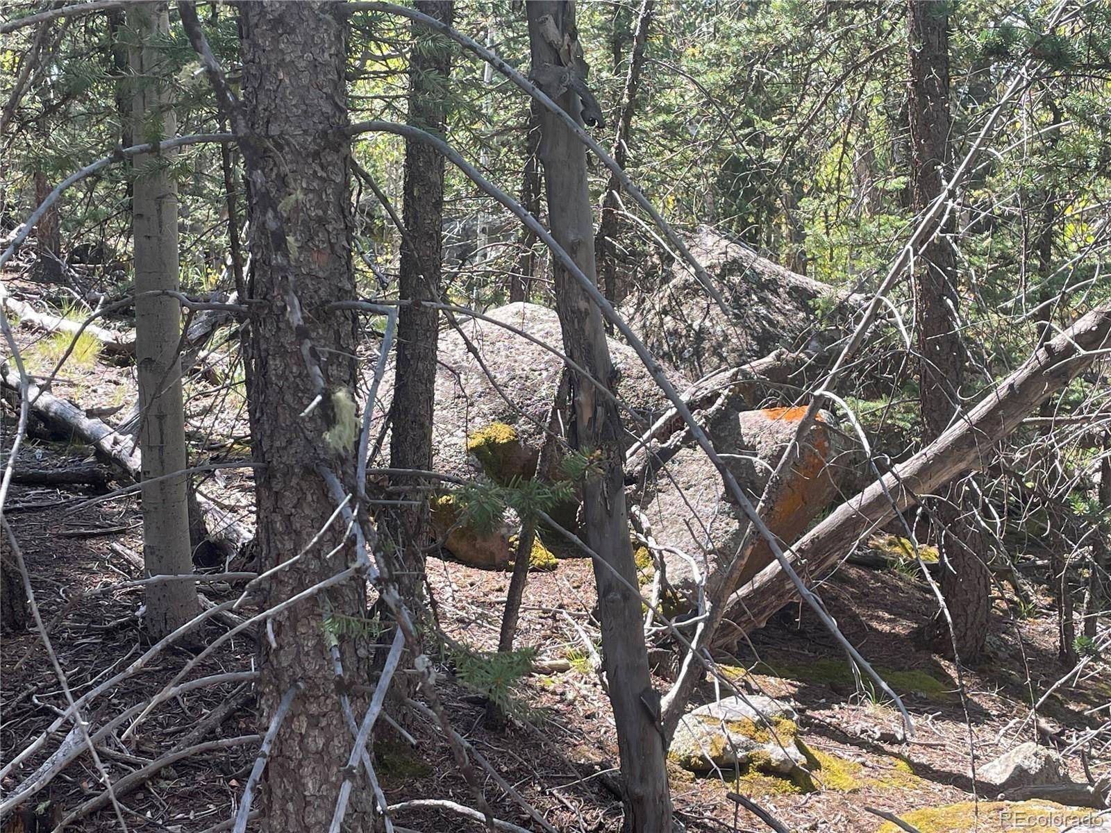 Como, CO 80432,169 Ithaca LN