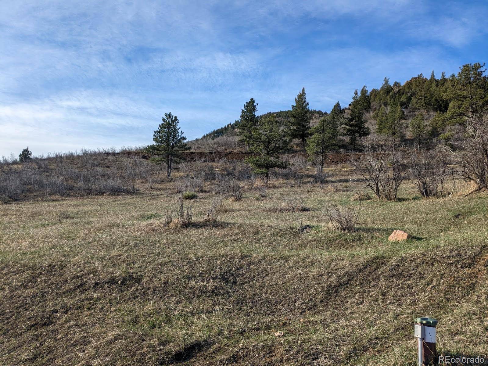 Idledale, CO 80453,21814 Shady LN