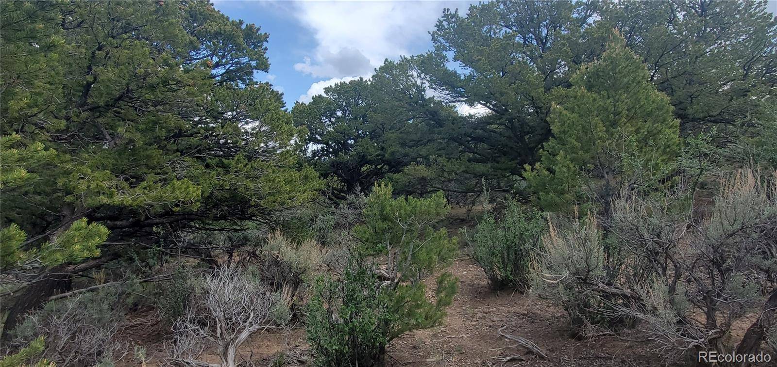 Fort Garland, CO 81133,Lot 7853 Malott RD
