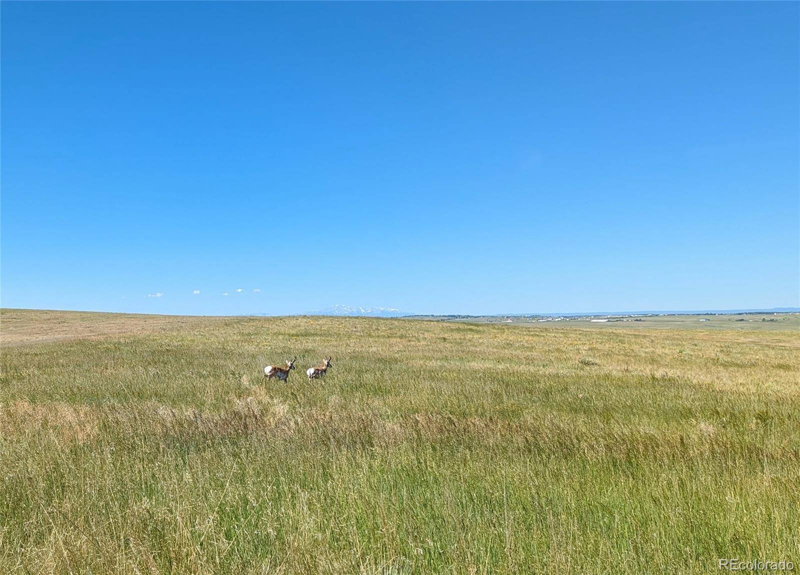 Kiowa, CO 80117,Parcel 9 Quietude Lane