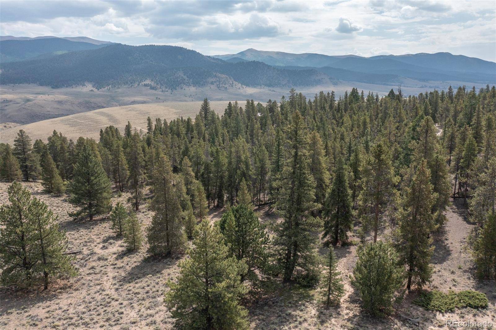 Twin Lakes, CO 81251,469 EE Hill DR