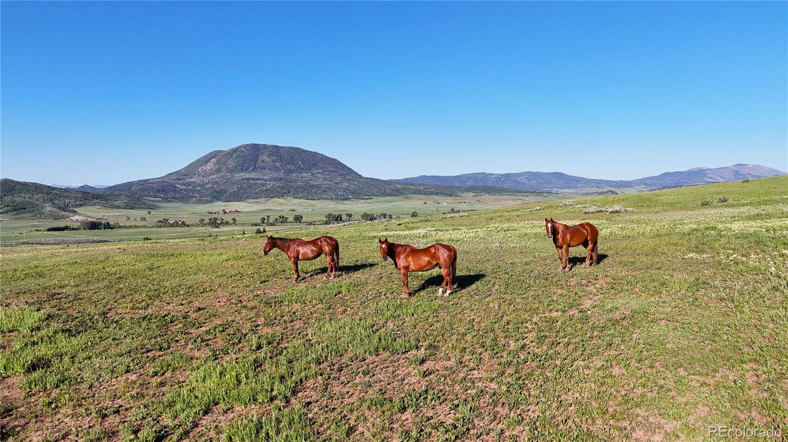 Steamboat Springs, CO 80487,26000 Wheeler Creek LN