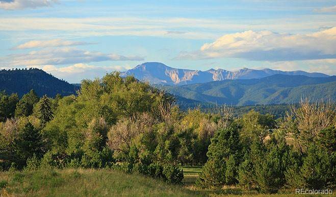 Castle Rock, CO 80104,4698 Twelve Oaks WAY