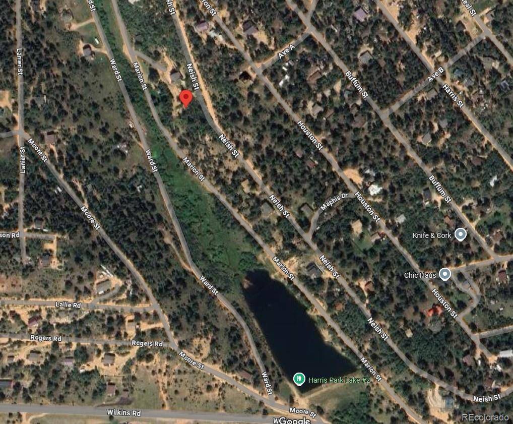 Bailey, CO 80421,397 Neish ST