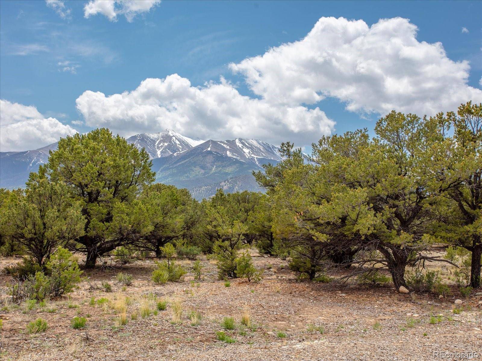 Buena Vista, CO 81211,28922 Timber Ridge