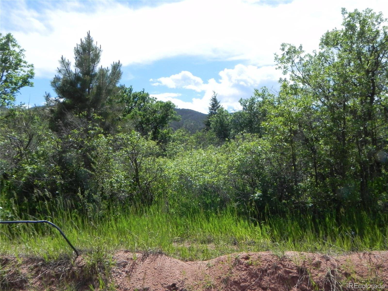 Larkspur, CO 80118,6295 Perry Park BLVD