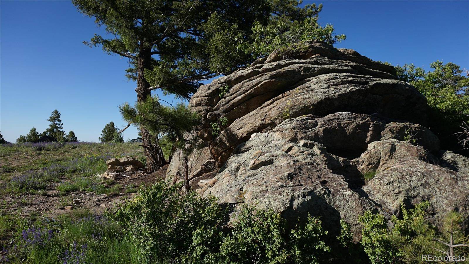 Littleton, CO 80127,13864 N Trail CIR