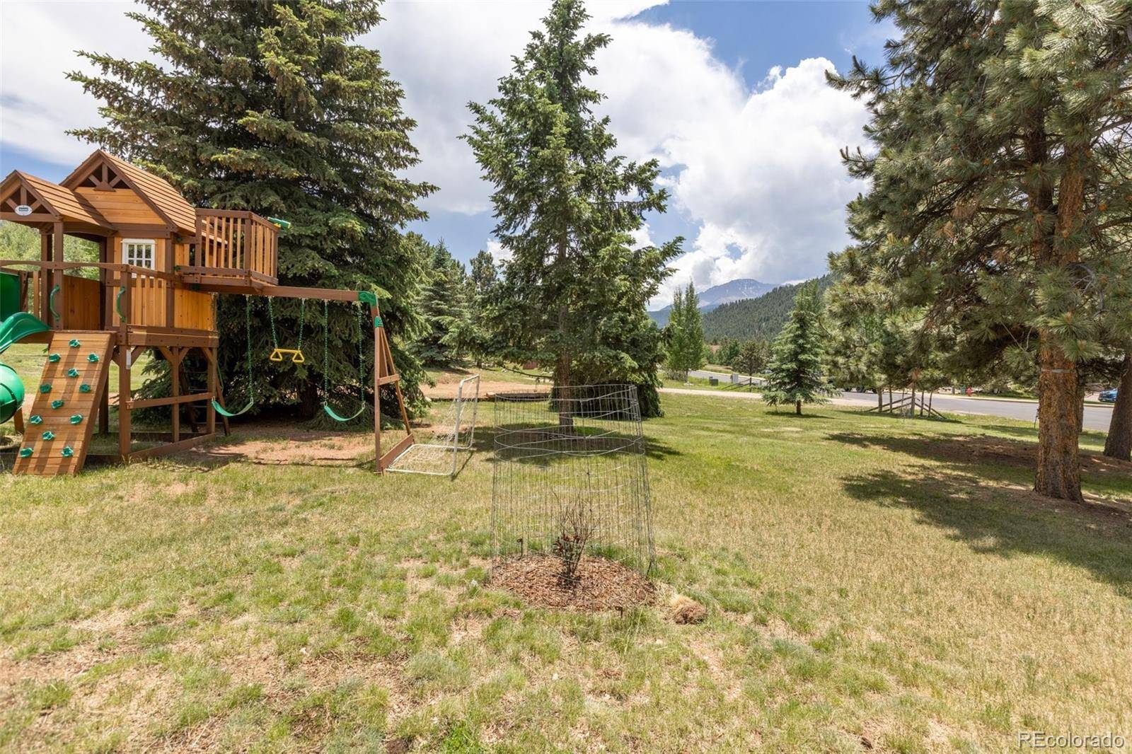 Woodland Park, CO 80863,405 Sun Valley DR