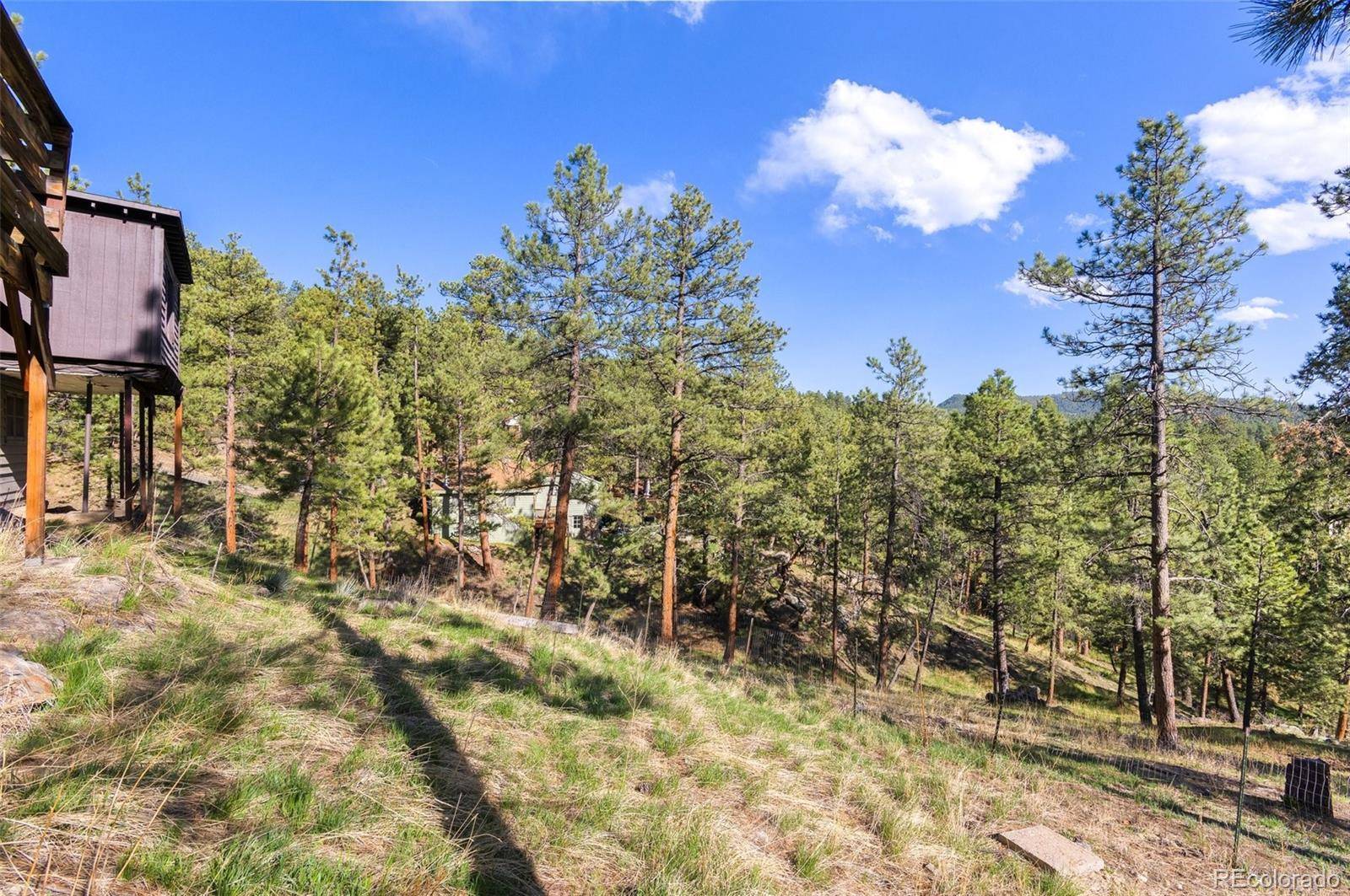 Evergreen, CO 80439,4782 Forest Hill