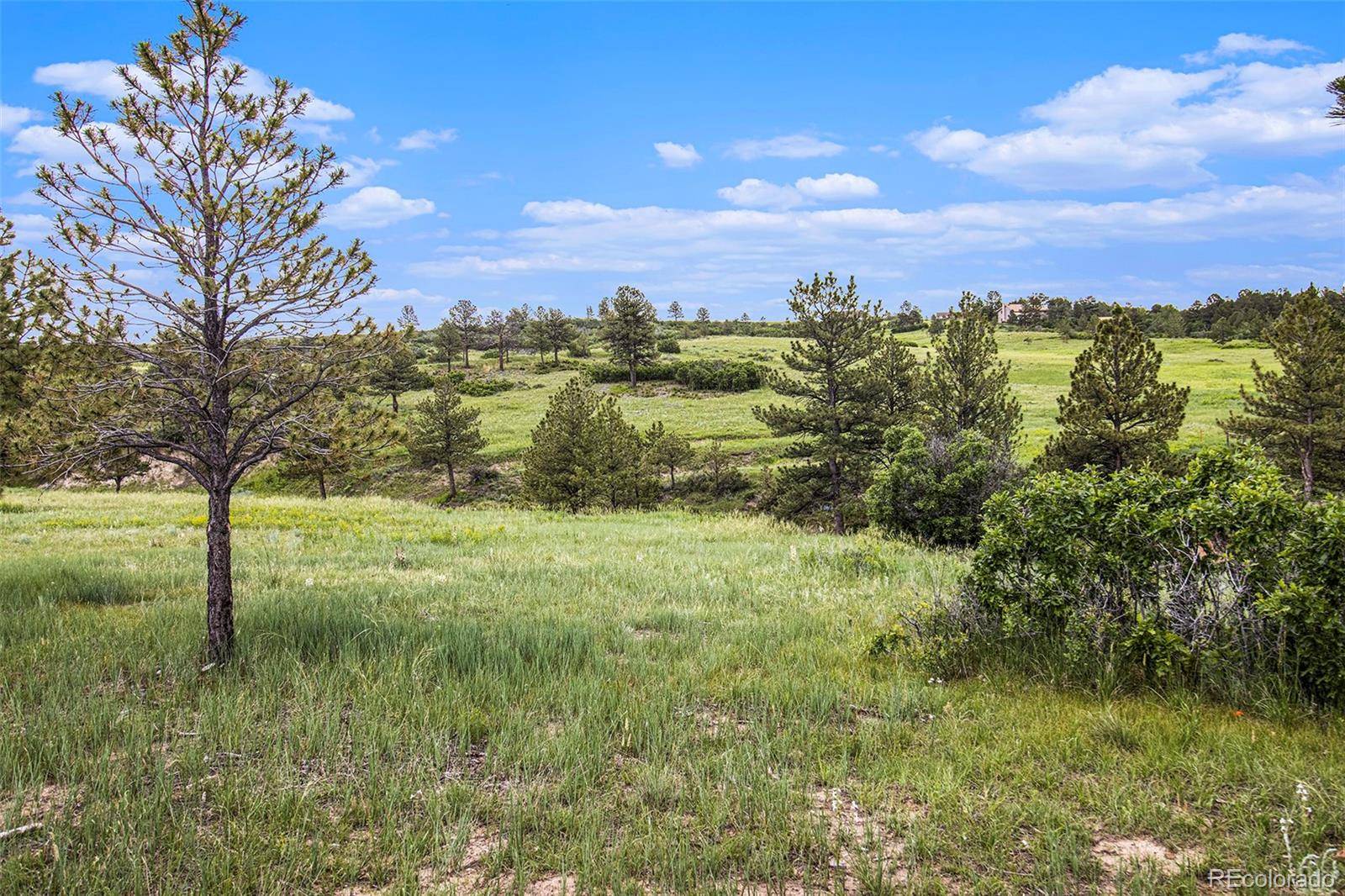Franktown, CO 80116,8654 Lost Lake DR