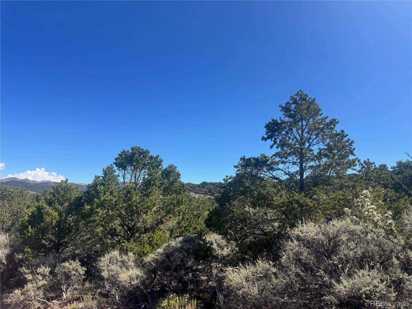 Fort Garland, CO 81133,lot 7876 Stone RD