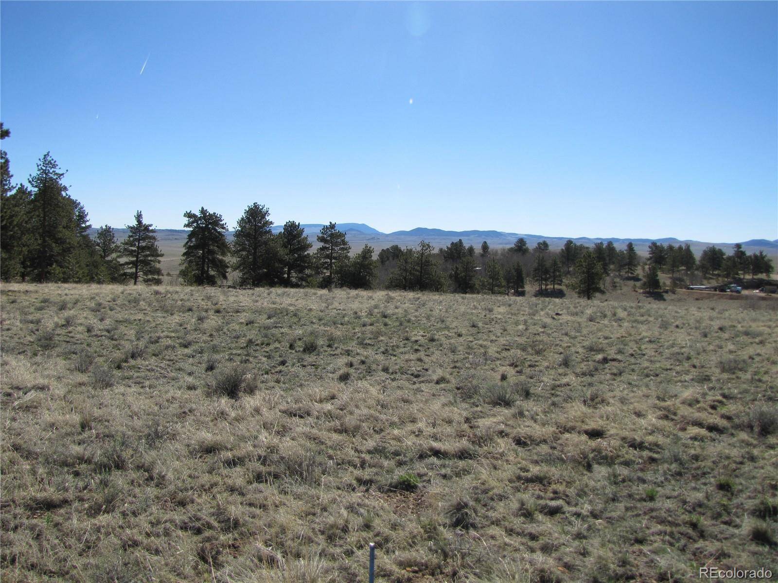 Hartsel, CO 80449,8819 Angus CIR