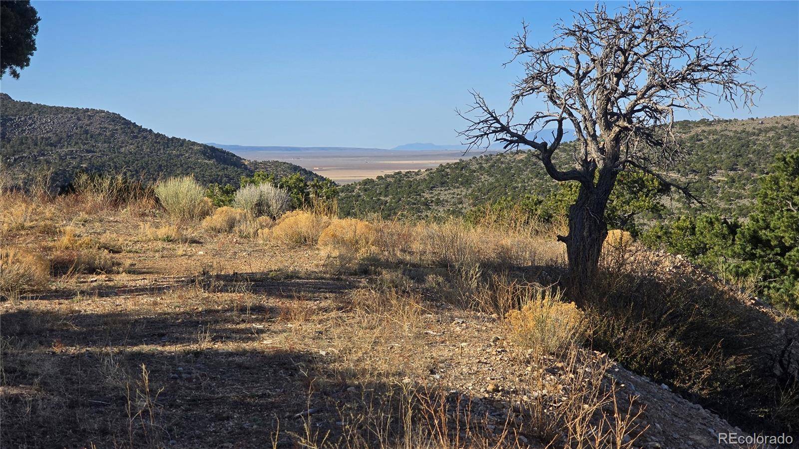 Fort Garland, CO 81133,Lot 3859 Murray RD
