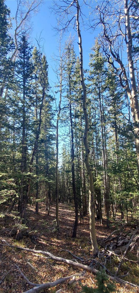 Fort Garland, CO 81133,Lot 6581 Ackerman RD