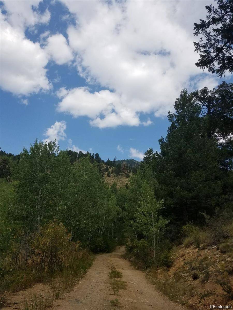 Golden, CO 80403,6194 Pyrenees TRL