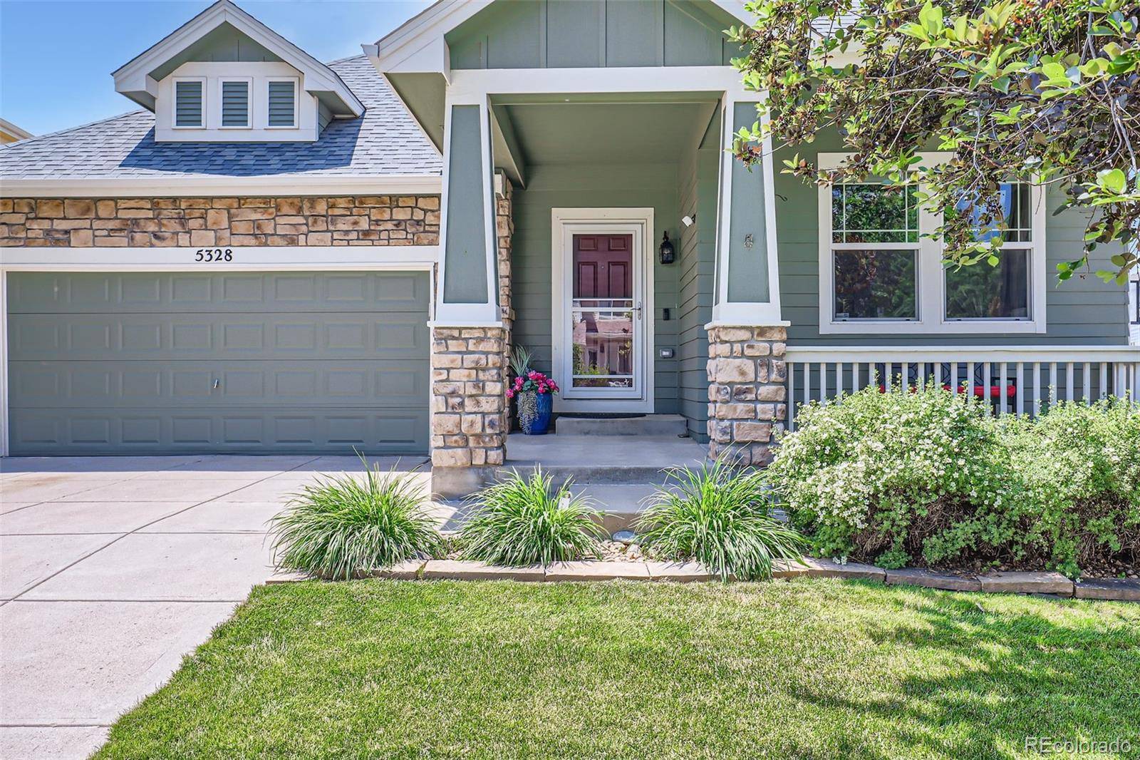 Brighton, CO 80601,5328 Potentilla ST