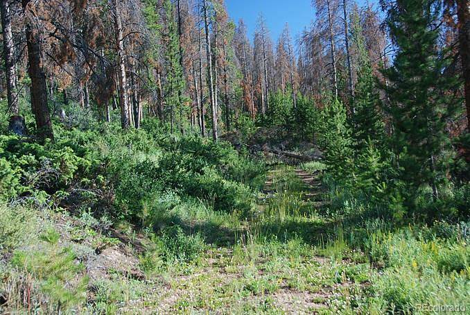 Granby, CO 80446,58 GCR 6325