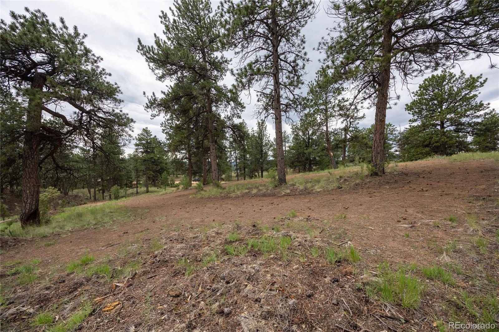 Florissant, CO 80816,721 and 767 Circle DR