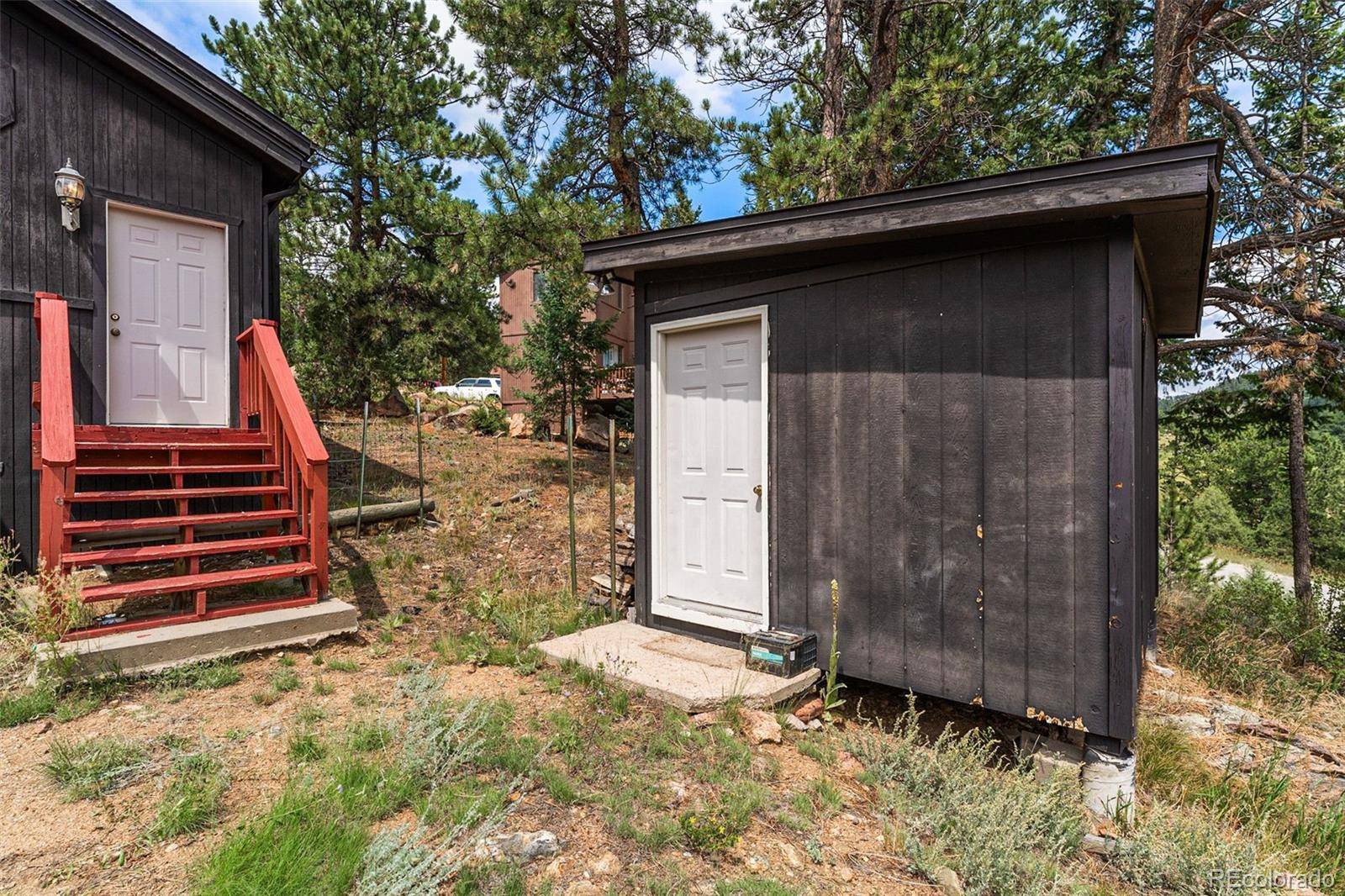 Bailey, CO 80421,625 Wisp Creek DR