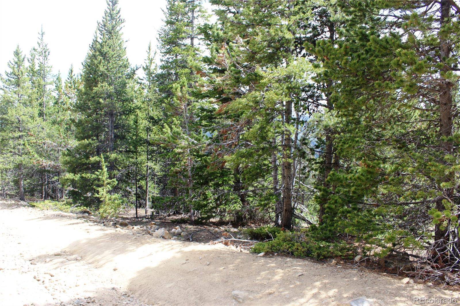 Idaho Springs, CO 80452,Group 2-1 Lamertine RD