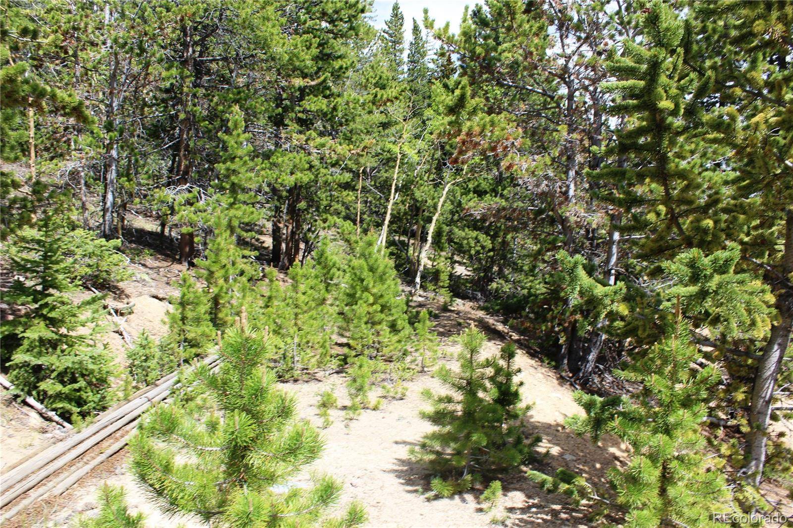 Idaho Springs, CO 80452,Group 2-1 Lamertine RD