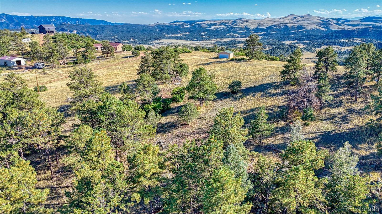 Florissant, CO 80816,1187 Apache RD