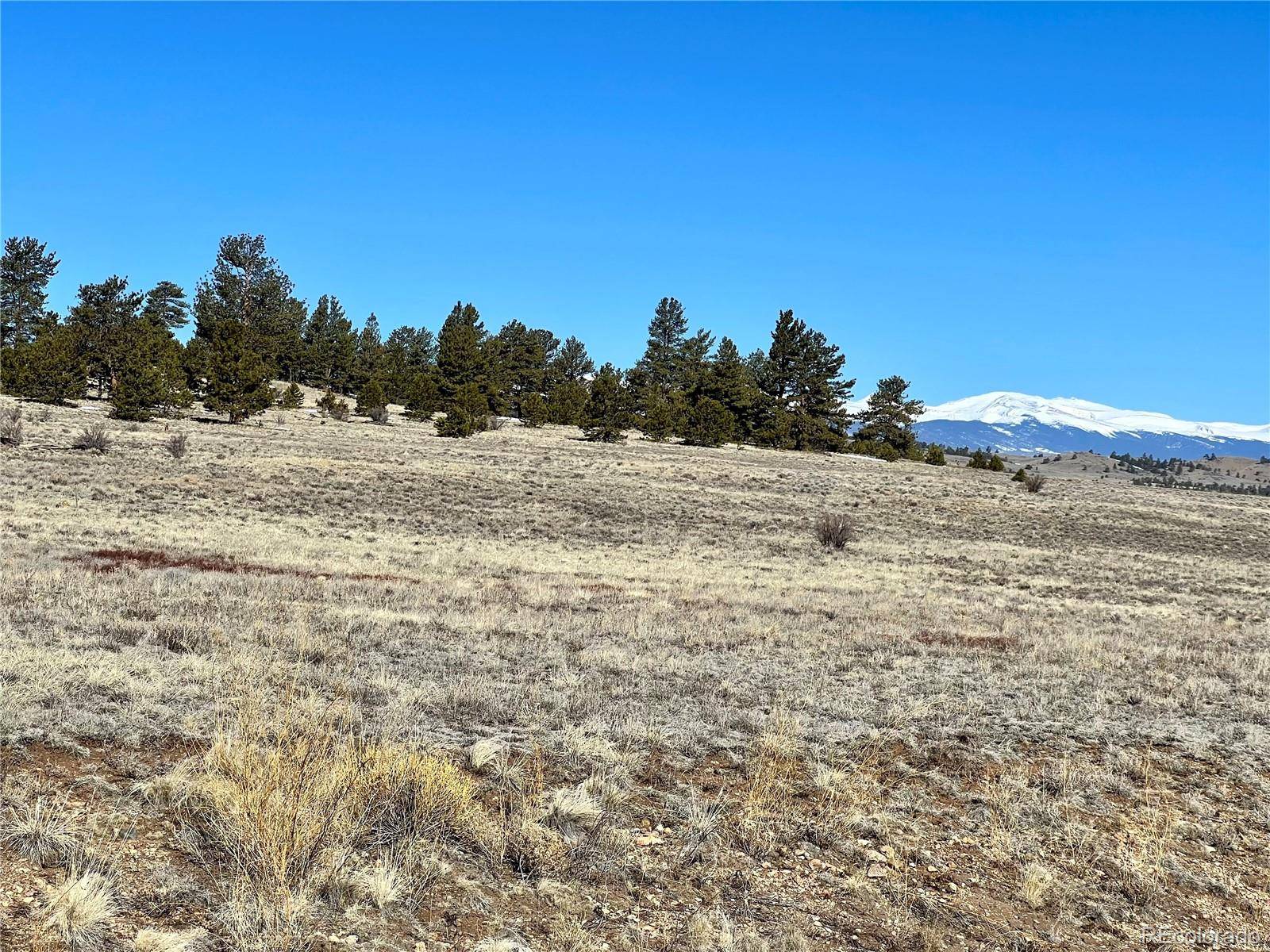 Hartsel, CO 80449,0 Chickasaw RD