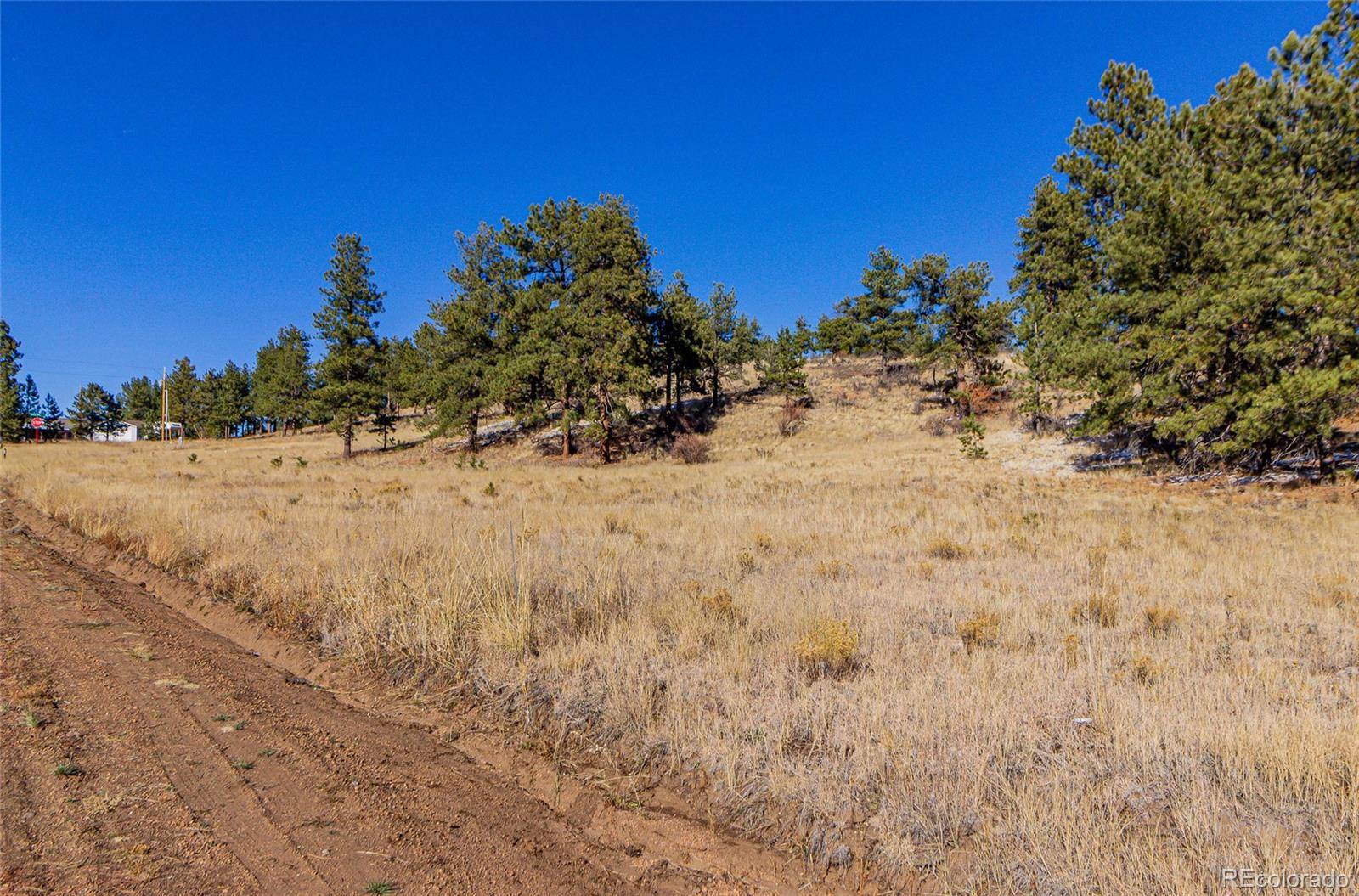 Florissant, CO 80816,180 Timber Croft TRL