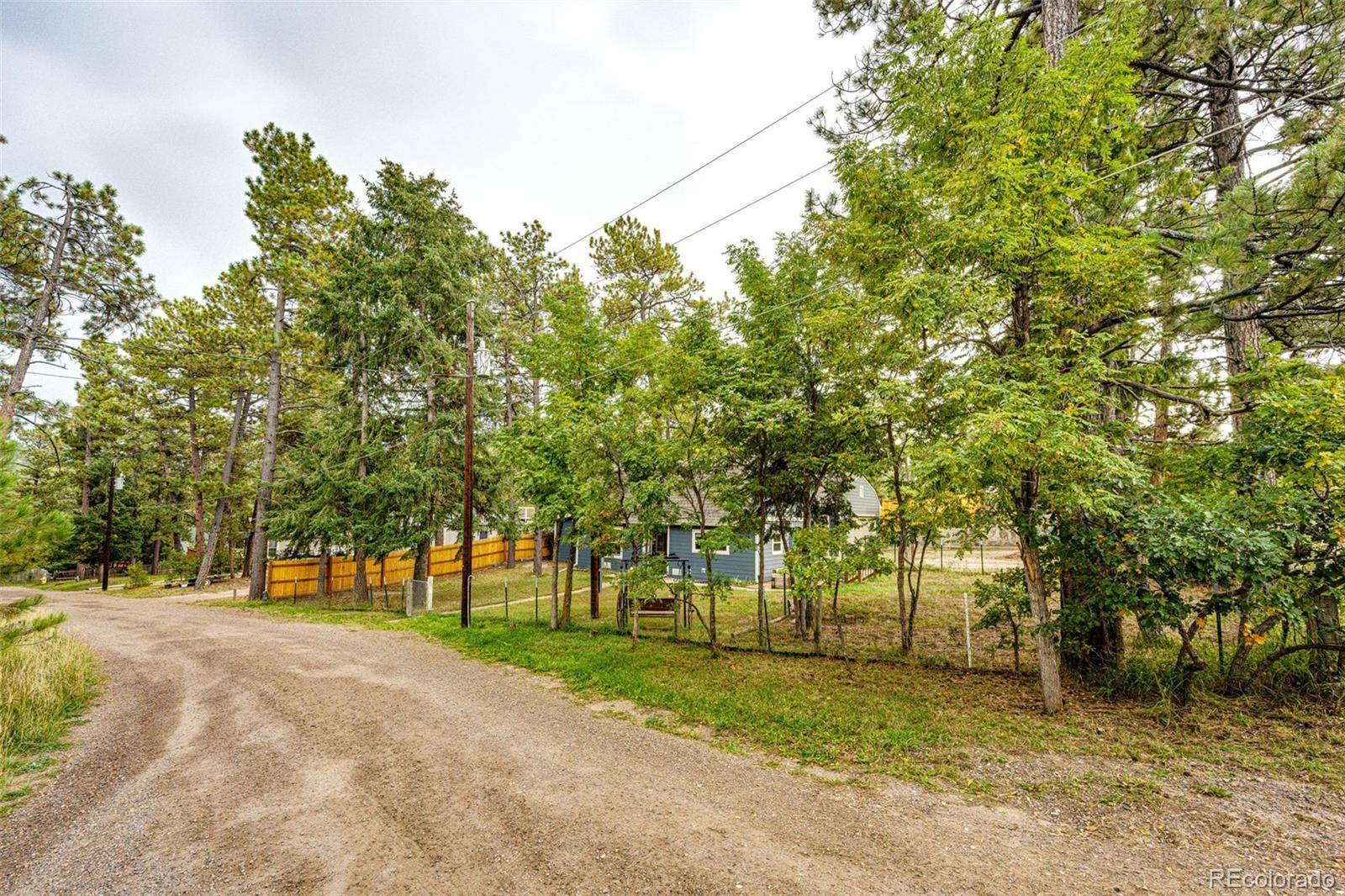 Larkspur, CO 80118,9273 Curtis RD