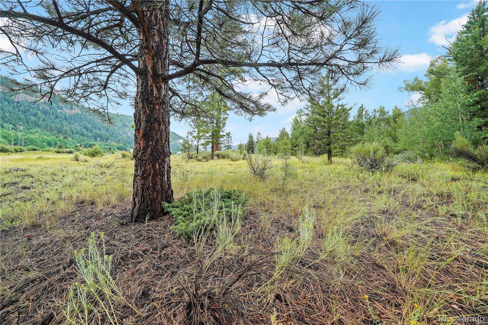 Antonito, CO 81120,River Run DR