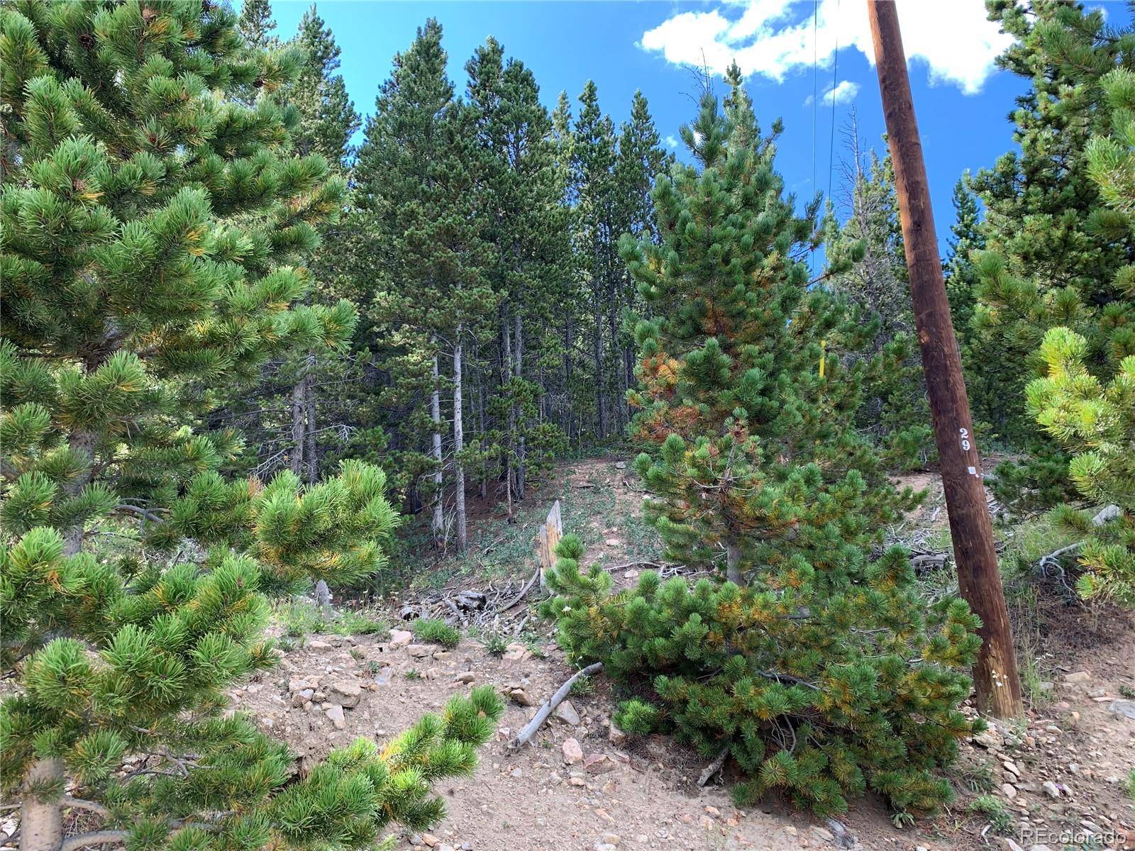 Idaho Springs, CO 80452,750 Alice RD