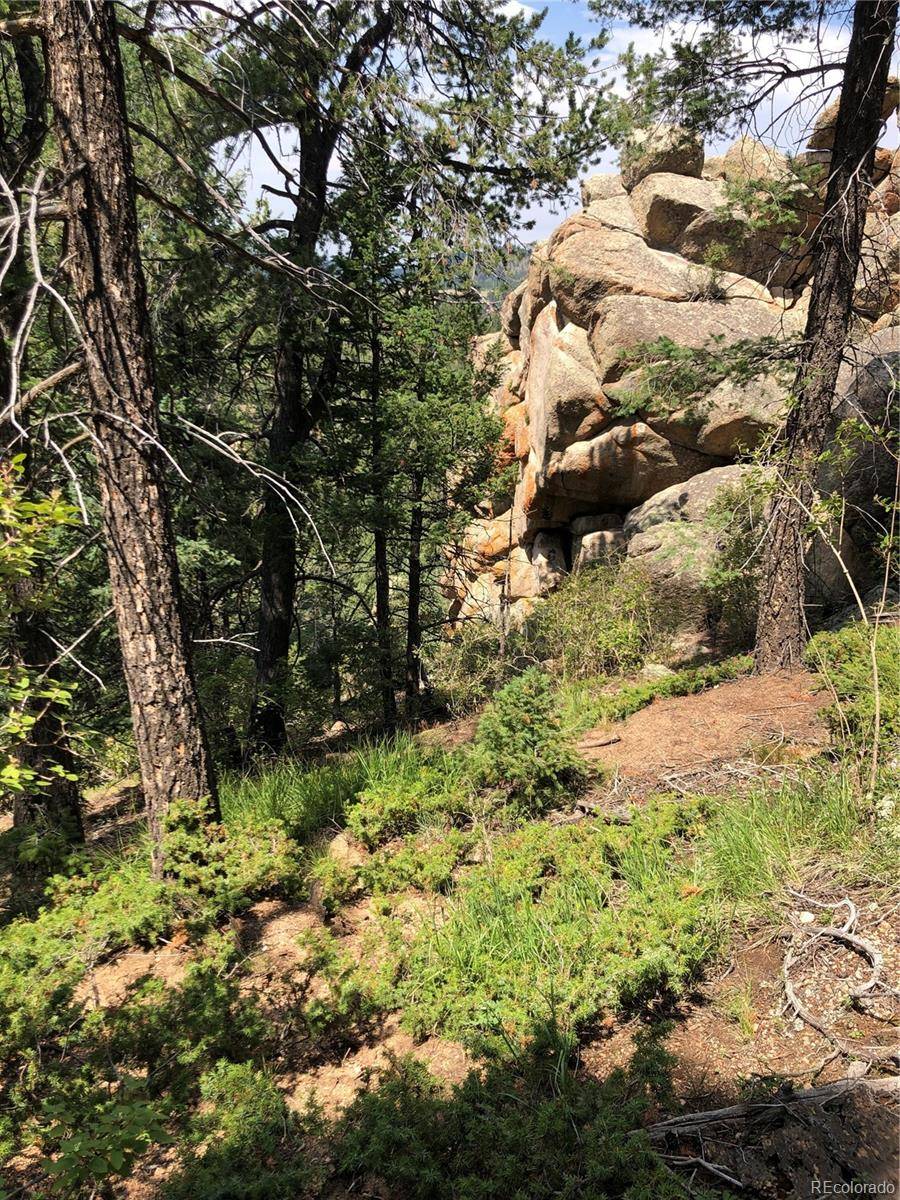 Woodland Park, CO 80863,213 Osoeola RD